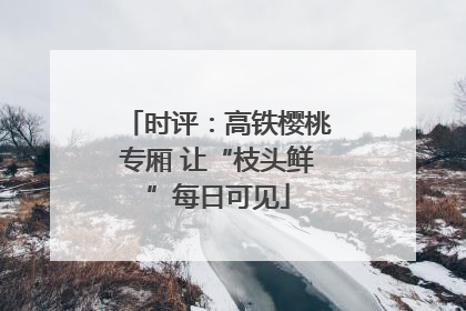 时评：高铁樱桃专厢 让“枝头鲜”每日可见